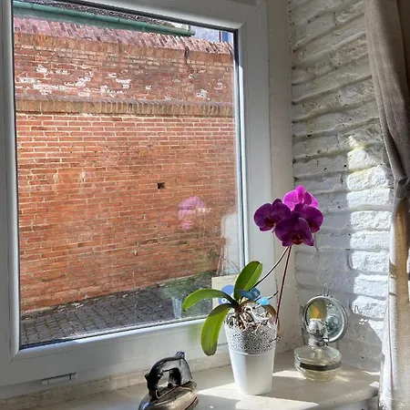 公寓 Brick 锡比乌